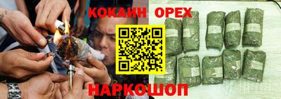винт Тара