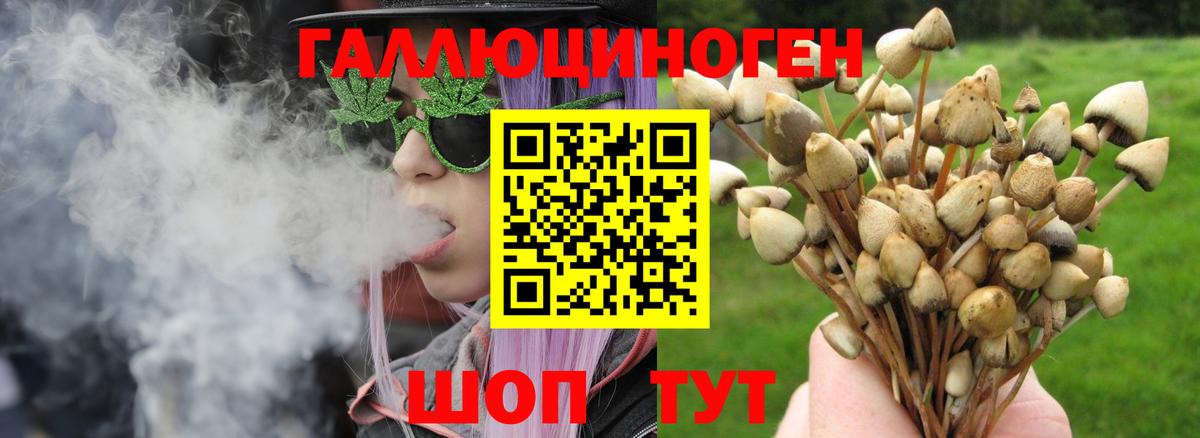 Галлюциногенные грибы Psilocybine cubensis  Вход с VPN  Нерюнгри  закладка  Галлюциногенные грибы GOLDEN TEACHER 