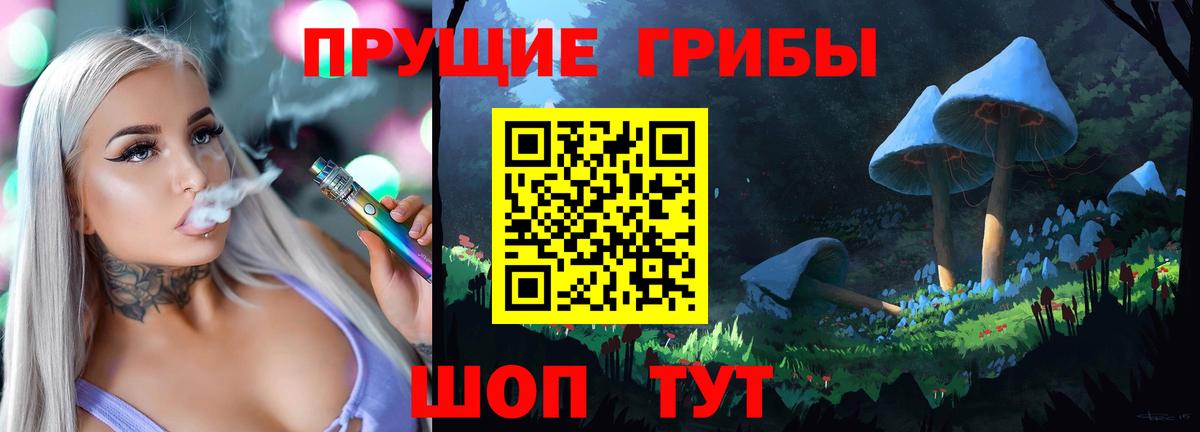 Псилоцибиновые грибы Cubensis Нерюнгри